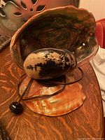 Mid century artisan sea shell lamp featuring large abalone shell and smaller decorative patterned shell on black metal stand.