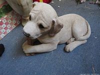 Yellow Labrador Retriever puppy sculpture lying on a blue carpet floor holding a treat, showing detailed life-like features.