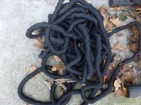Expandable black garden hose coiled with fabric exterior on ground among fallen leaves.