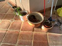 Overall view of live plants and planters positioned on tile floor with sunlight