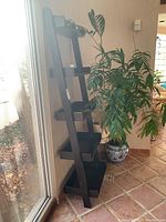 Full side view of the black ladder shelf unit leaning against a wall beside a window and plant.