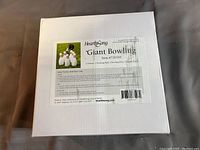 Top view of the sealed box with HearthSong Giant Bowling label detailing contents included and item number.