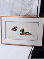 Framed artwork depicting two horned grebes swimming in water, visible in a full front view with neutral and natural colors.