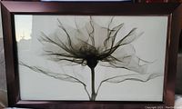 Front view of the framed x-ray art print of a rose showing the petals and stem in detail.