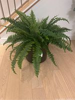 Full view of an artificial green fern plant sitting in a black pot on wooden flooring.