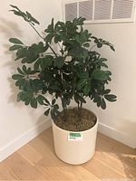 Artificial potted plant in cream/white cylindrical pot, showing full plant and pot.