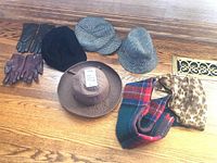Four hats, two scarves, and two pairs of gloves arranged on the floor. Hats include brown wide-brim with tag, black beret, gray fedora, and gray/checkered flat cap. Scarves include plaid and leopard print.