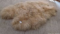 Top side showing natural long wool fleece with creamy color and some dirt, irregular sheepskin shape visible.