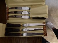 Six bone handle knives arranged inside an open faux alligator skin folding case showing cream soft lining. Blades include steak and carving knives with metal blades and dark textured handles.