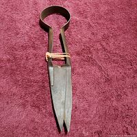 Photo showing top view of antique manual sheep shears on red fabric background.