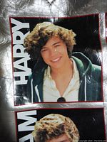 Close-up fabric poster of Harry Styles with his name in bold letters