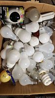 Various untested 120V light bulbs including incandescent, CFL, LED, and one boxed bulb labeled Glamor Colour 40W.
