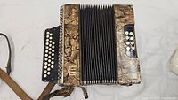 View of full accordion with buttons and bellows, showing external condition