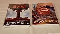 Two paperback books titled 'Ottawa Rewind' by Andrew King placed side by side on a flat surface.