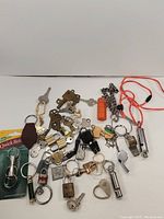 Photo showing a variety of small items including mini locks, multiple keys, and various key chains.