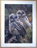 Full front view of the print with white border on wood floor