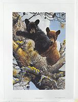 Full view of the limited edition print showing two black bear cubs resting in a tree with detailed natural setting.