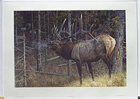 Full view of the limited edition print showing elk in forest with vivid detail.