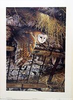 Full view of the print showing the barn owl flying over barn background with stone walls, beams, metal bars, and hay.