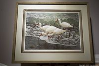 Front view of framed Carl Brenders Shoreline Quartet White Ibis limited edition print showing four white ibis birds at the shoreline with waves in background.