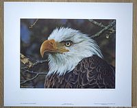 Full view of the Carl Brenders limited edition print 'Threatened Symbol' depicting a bald eagle head with signature and numbering visible on border.