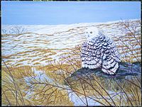 Front view of the large acrylic painting showing snowy owl perched on rock with detailed natural winter scenery.