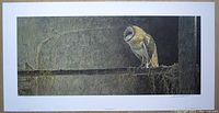 Full view of the limited edition print showing the barn owl on a beam with textured wall background, featuring artist's signature and print title in margins.
