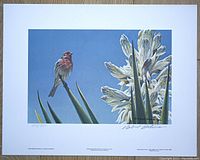 Full view of the signed and numbered limited edition print showing the house finch on yucca plant with blue sky background.