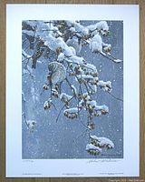 Full image of the limited edition print showing two house sparrows among snow-covered bittersweet branches during a snowfall, signed and numbered on the bottom margin.