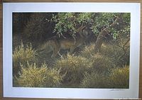 Full view of the framed print showing the Mexican wolf in brush and trees.