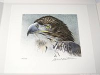 Color lithograph close-up showing detailed Bald Eagle head with signature and edition number.