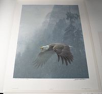 Full view of the print showing a bald eagle in flight with artist signature on white border