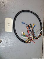 Photo of full 8 channel RCA snake cable coiled with individual RCA connectors visible in multiple colors.