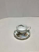 Teacup and saucer front angled view showing detailed scenic illustration and gold trim