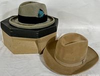 Two vintage felt hats: light beige Stetson with black band and feather on aged octagonal hat box, and tan Biltmore fedora
