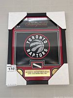 Overall framed memorabilia display featuring Toronto Raptors logo, bronze coins, and piece of net