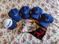 Photo showing four blue adult-size unofficial Blue Jays baseball hats, one child's blue and white baseball hat, one pink bucket hat with palm tree print, and one winter-themed scarf with reindeer and geometric designs.
