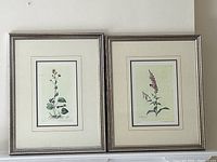 Pair of framed botanical prints hanging side by side on a wall, showing details of silver-tone frames and matting with floral illustrations
