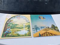 Two LP record album covers laid flat, front covers visible. One titled 'The Geese & The Ghost' with a pastoral artistic illustration, the other featuring an outdoor landscape with geometric fields and a small figure.