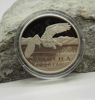 Front side of the 2014 Canadian $50 silver coin showing a snowy owl in flight over a landscape with inscriptions 'CANADA', '50 DOLLARS', and '2014'. The coin is in a clear protective capsule.