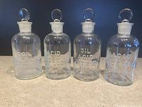 Front view of the set of four embossed antique glass apothecary bottles showing embossed chemical names and glass stoppers.