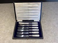 Set of six butter spreaders in black case with blue velvet insert and white silk padded lid.