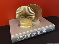 Front and side view of one brass seashell bookend showing ridged shell design and irregular brass base.
