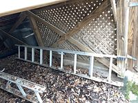 Full view of the aluminum extension ladder lying outdoors with leaves and dirt around. The ladder is under a wooden lattice structure.
