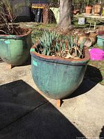 Show front and side view of large blue terra cotta planter with plants and wooden feet outdoors.