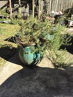 Blue terra cotta planter with separate wooden feet, containing a planted shrub with green foliage. Photos show multiple angles of the planter outdoors on concrete surface in sunny backyard.