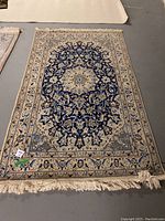 Full view of the blue and beige area rug showing central medallion and overall pattern