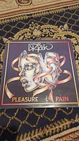 Front cover of Dr. Hook 'Pleasure and Pain' vinyl record with colorful illustration and band title.