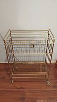 Front view of vintage metal wire record holder cart