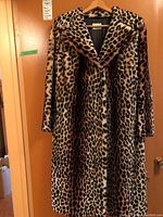 Front view of coat hanging on door